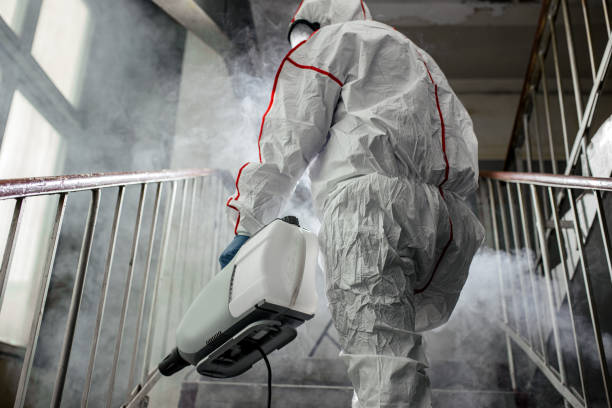 Why You Should Choose Our Mold Remediation Services in Medical Lake, WA